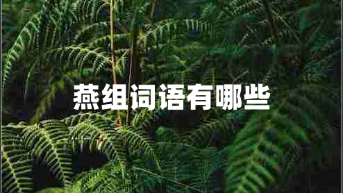 燕組詞語有哪些 燕組詞語有哪些