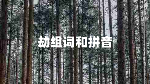 劫組詞和拼音 劫組詞和拼音