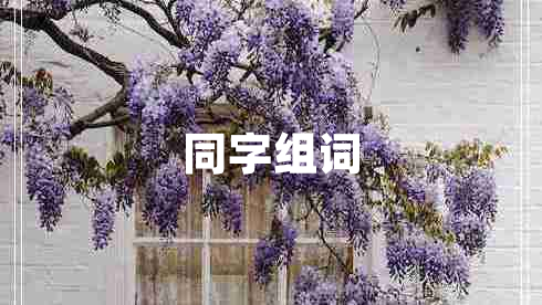 同字組詞 同字組詞