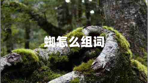 蜘怎么組詞