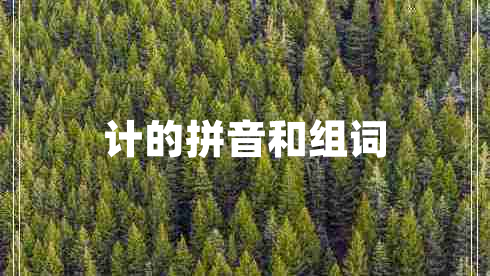 計(jì)的拼音和組詞