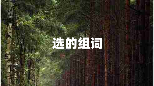 選的組詞 選的組詞