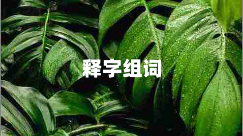 釋字組詞 釋字組詞