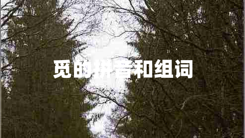 覓的拼音和組詞