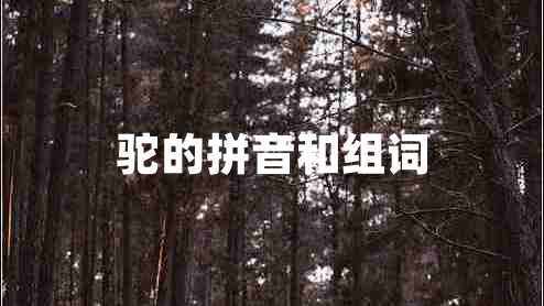 駝的拼音和組詞