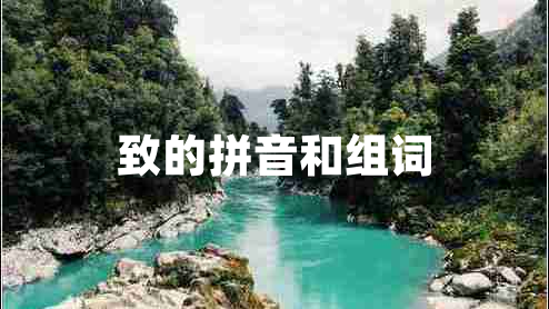 致的拼音和組詞