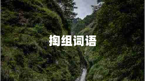掏組詞語(yǔ)