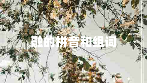 融的拼音和組詞 融的拼音和組詞