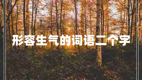 形容生氣的詞語二個字 形容生氣的詞語二個字