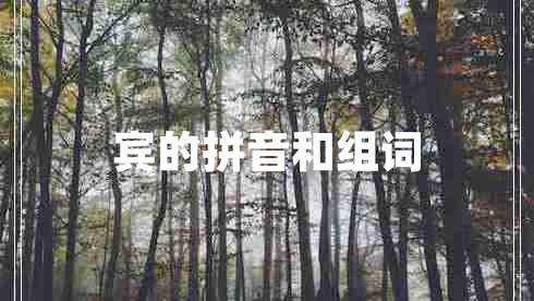 賓的拼音和組詞