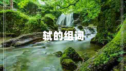 軾的組詞 軾的組詞