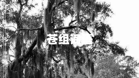 蒼組詞語 蒼組詞語