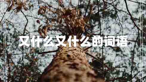 又什么又什么的詞語