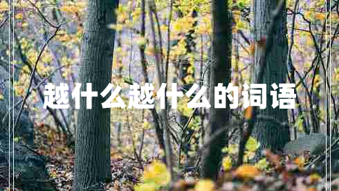 越什么越什么的詞語