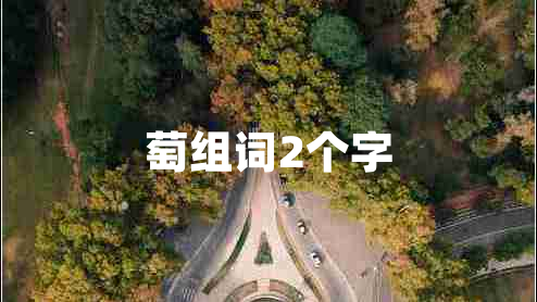 萄組詞2個字