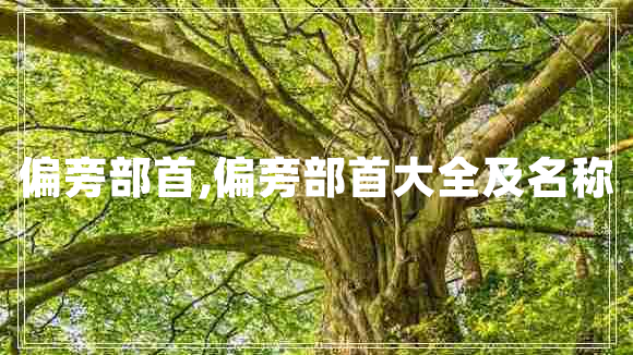 偏旁部首,偏旁部首大全及名稱