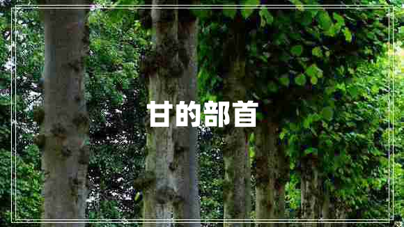 甘的部首 甘的部首