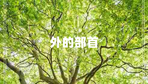 外的部首 外的部首