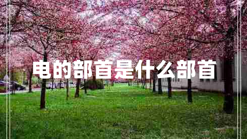 電的部首是什么部首