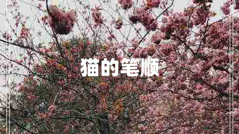 貓的筆順