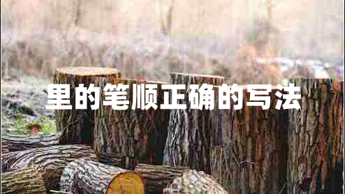 里的筆順正確的寫(xiě)法