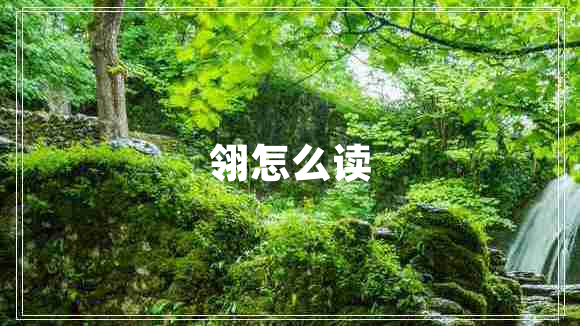 翎怎么讀