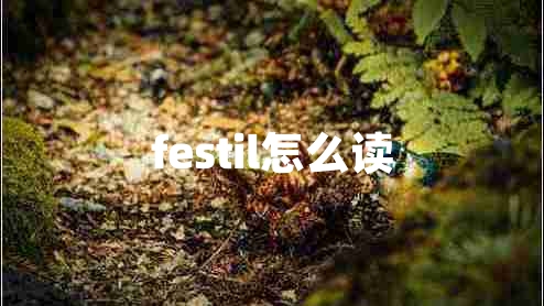 festil怎么讀