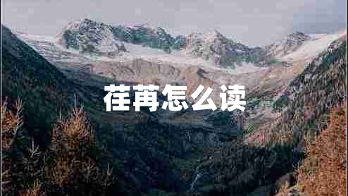 荏苒怎么讀 荏苒怎么讀