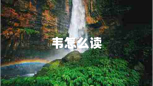 韋怎么讀 韋怎么讀