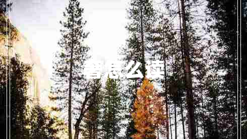 奢怎么讀 奢怎么讀