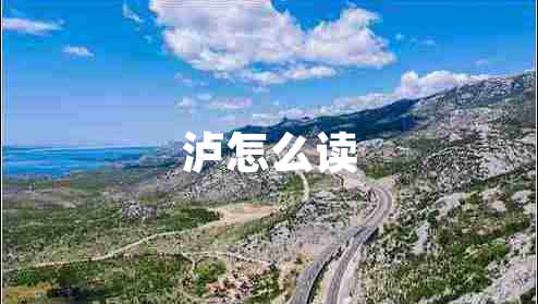 瀘怎么讀 瀘怎么讀