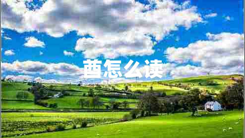 酋怎么讀 酋怎么讀