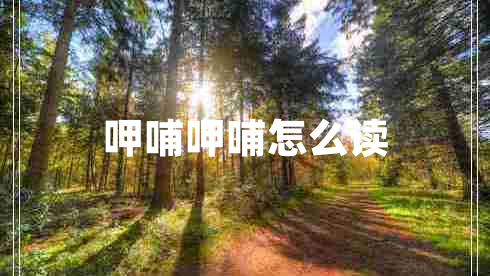 呷哺呷哺怎么讀