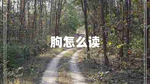 朐怎么讀 朐怎么讀