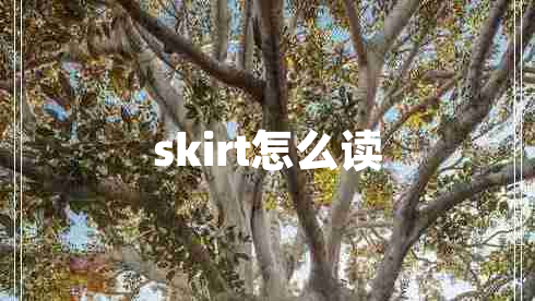 skirt怎么讀