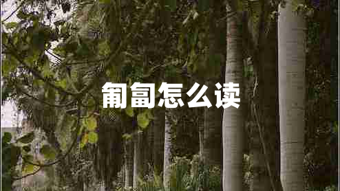 匍匐怎么讀 匍匐怎么讀