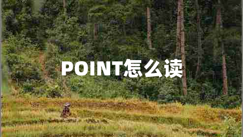 POINT怎么讀 POINT怎么讀
