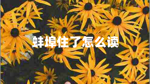 蚌埠住了怎么讀