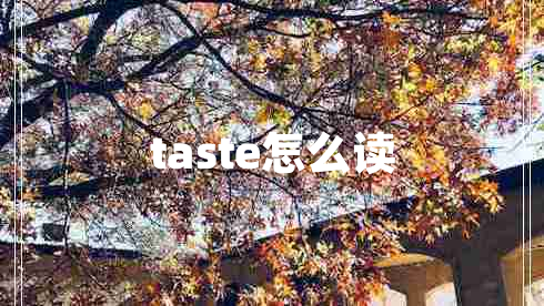 taste怎么讀