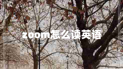 zoom怎么讀英語(yǔ)