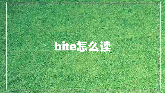 bite怎么讀