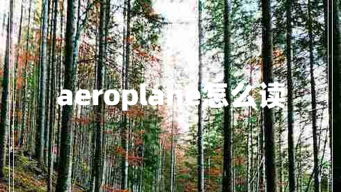 aeroplane怎么讀 aeroplane怎么讀