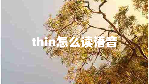 thin怎么讀語音 thin怎么讀語音