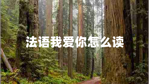 法語我愛你怎么讀