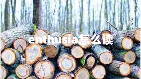 enthusia怎么讀
