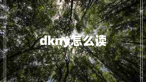 dkny怎么讀