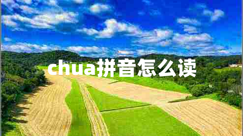 chua拼音怎么讀