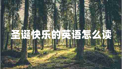 圣誕快樂的英語怎么讀