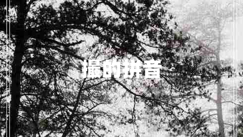 撮的拼音 撮的拼音