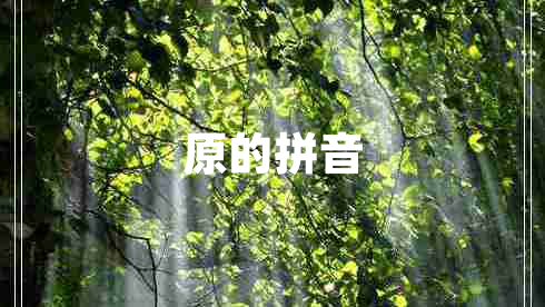 原的拼音 原的拼音